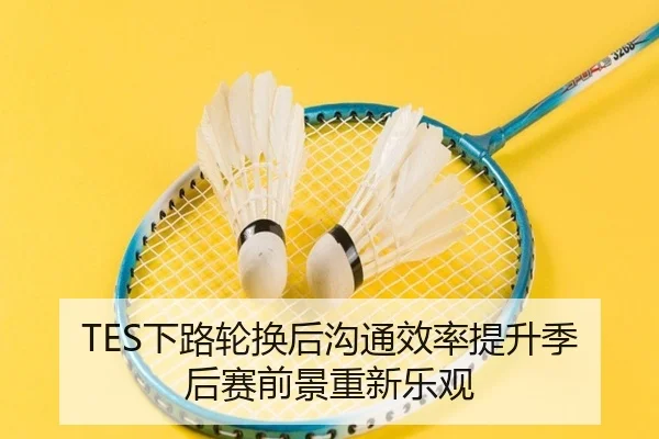 TES下路轮换后沟通效率提升季后赛前景重新乐观